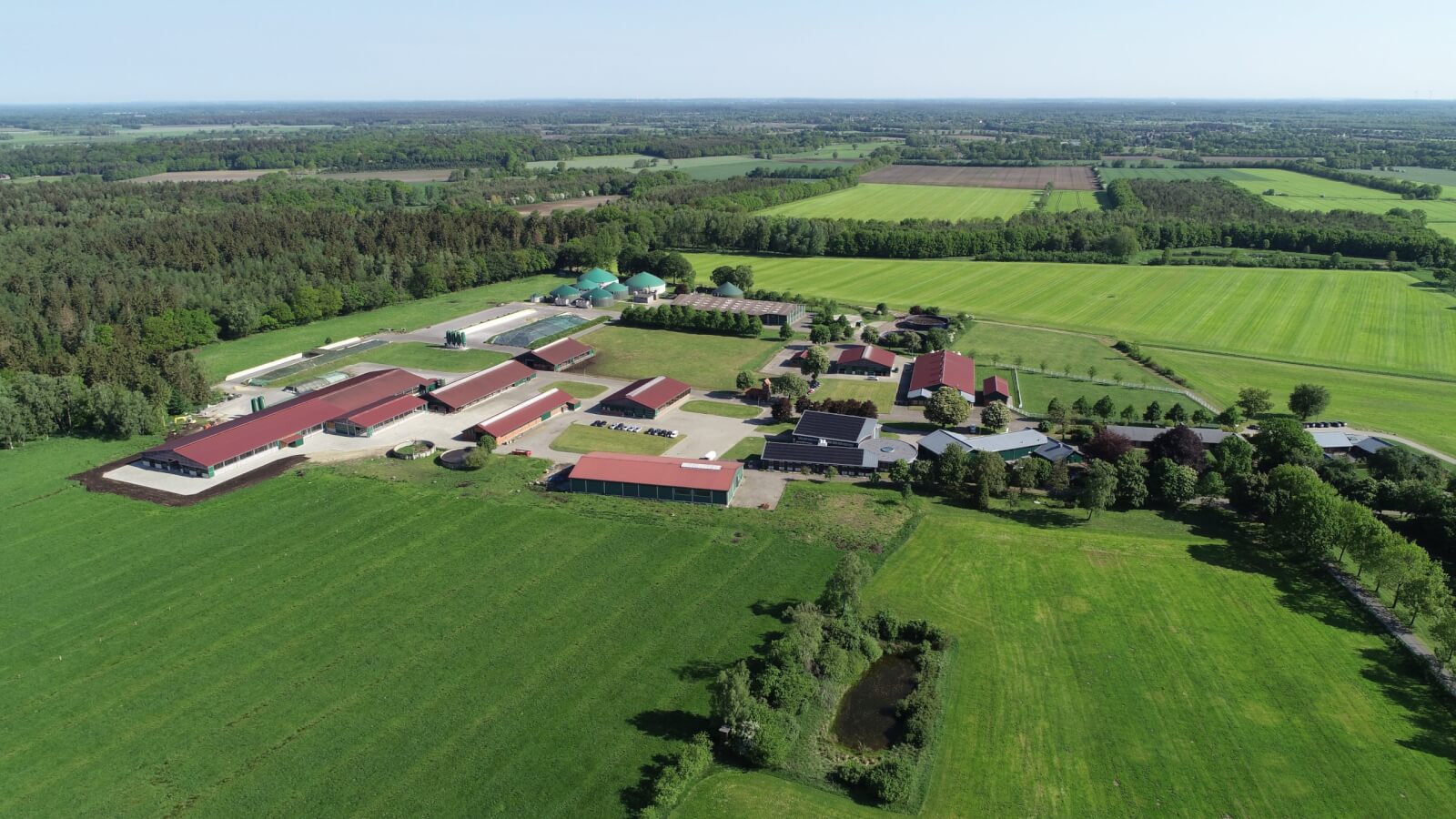 Gut Hülsenberg ISF Wahlstedt 2019 1 scaled