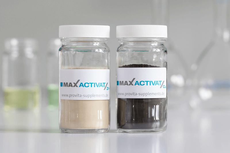 MAXACTIVAT Portfolio