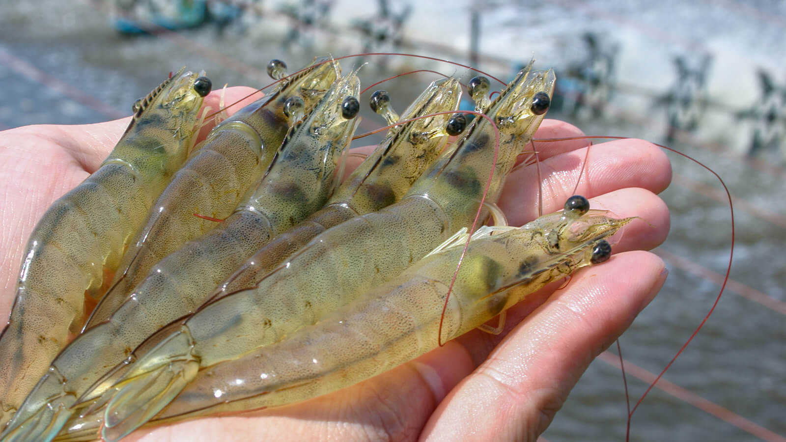 AdobeStock 236134482 news