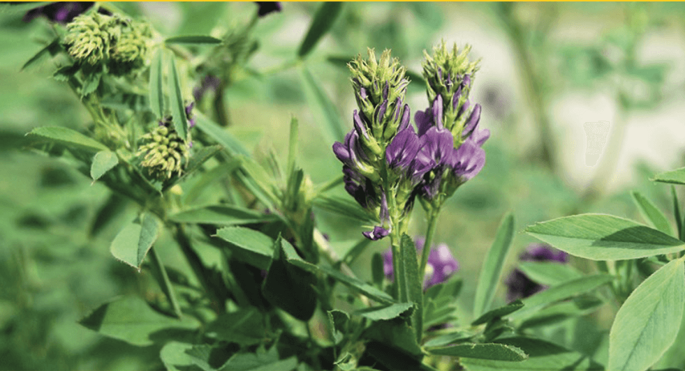 Screenshot 2020 09 03 at 18.07.06 e1600263728315