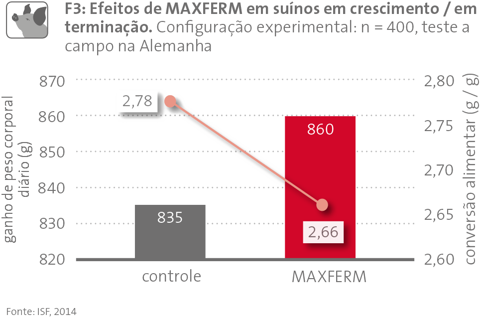 MAXFERM Abb F3 pt