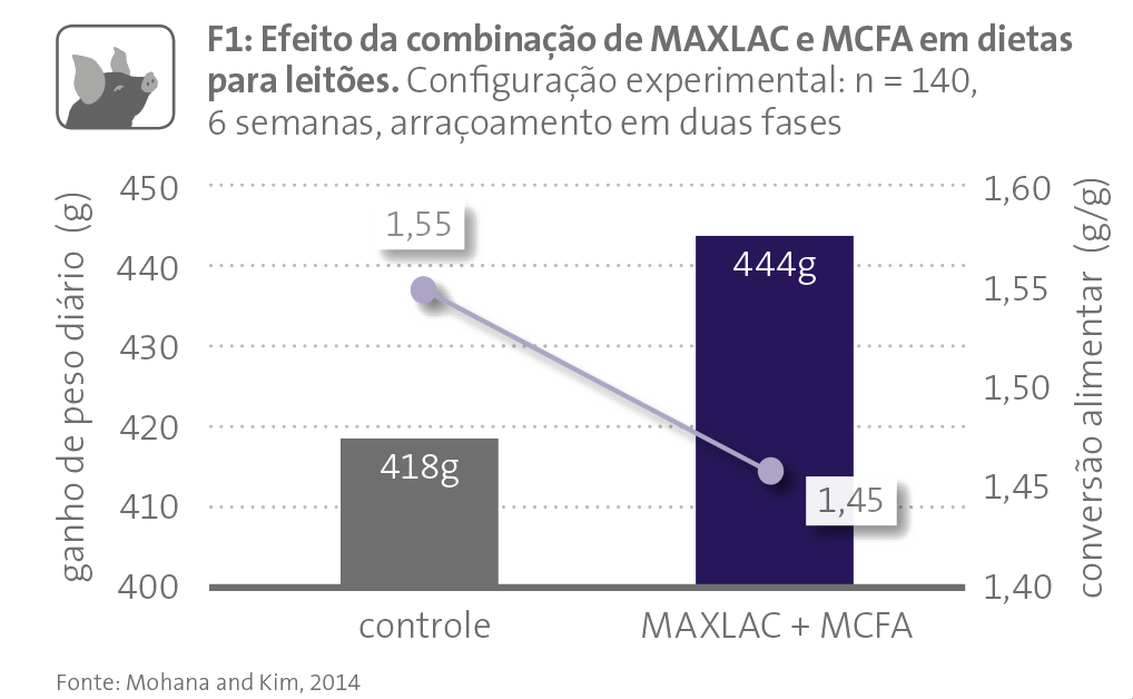 MAXLAC Abb 1 pt