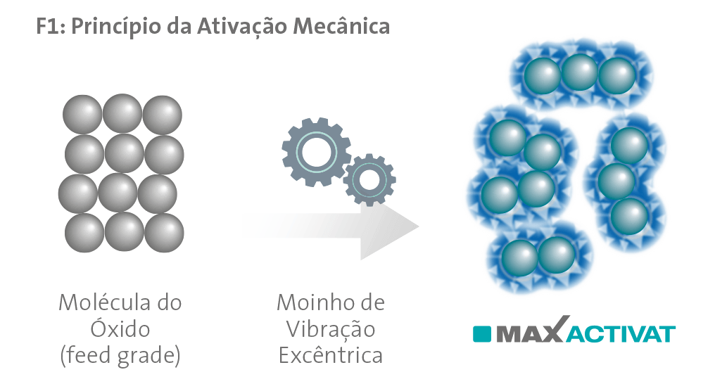 MAXACTIVAT Abb 1 pt