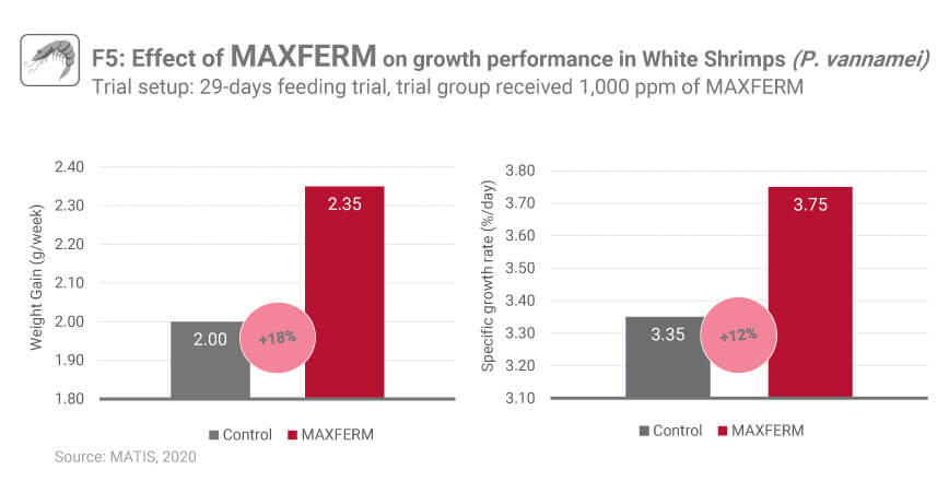 MAXFERM final