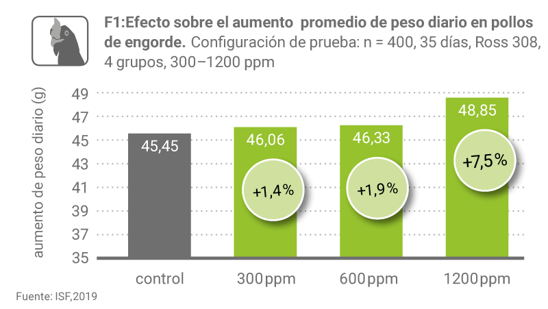 Factsheet Asco F1