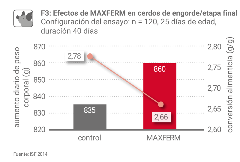 Factsheet Ferm F3