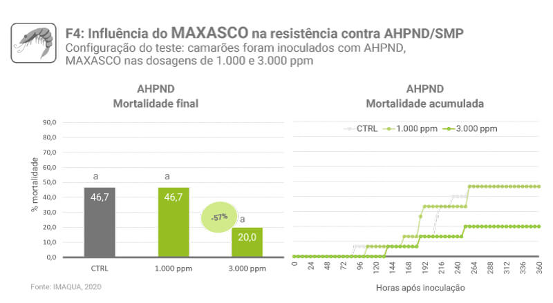 MAXASCO pt final