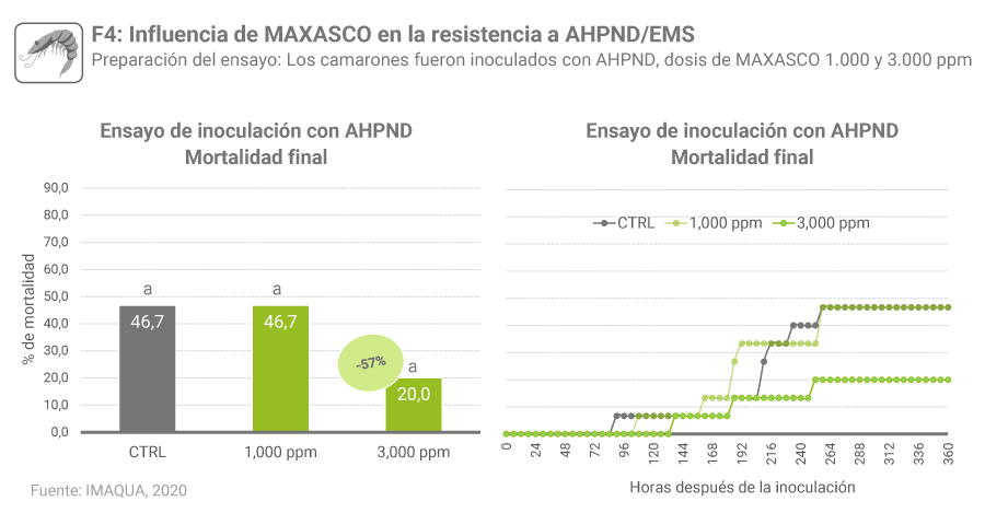 MAXASCO ES