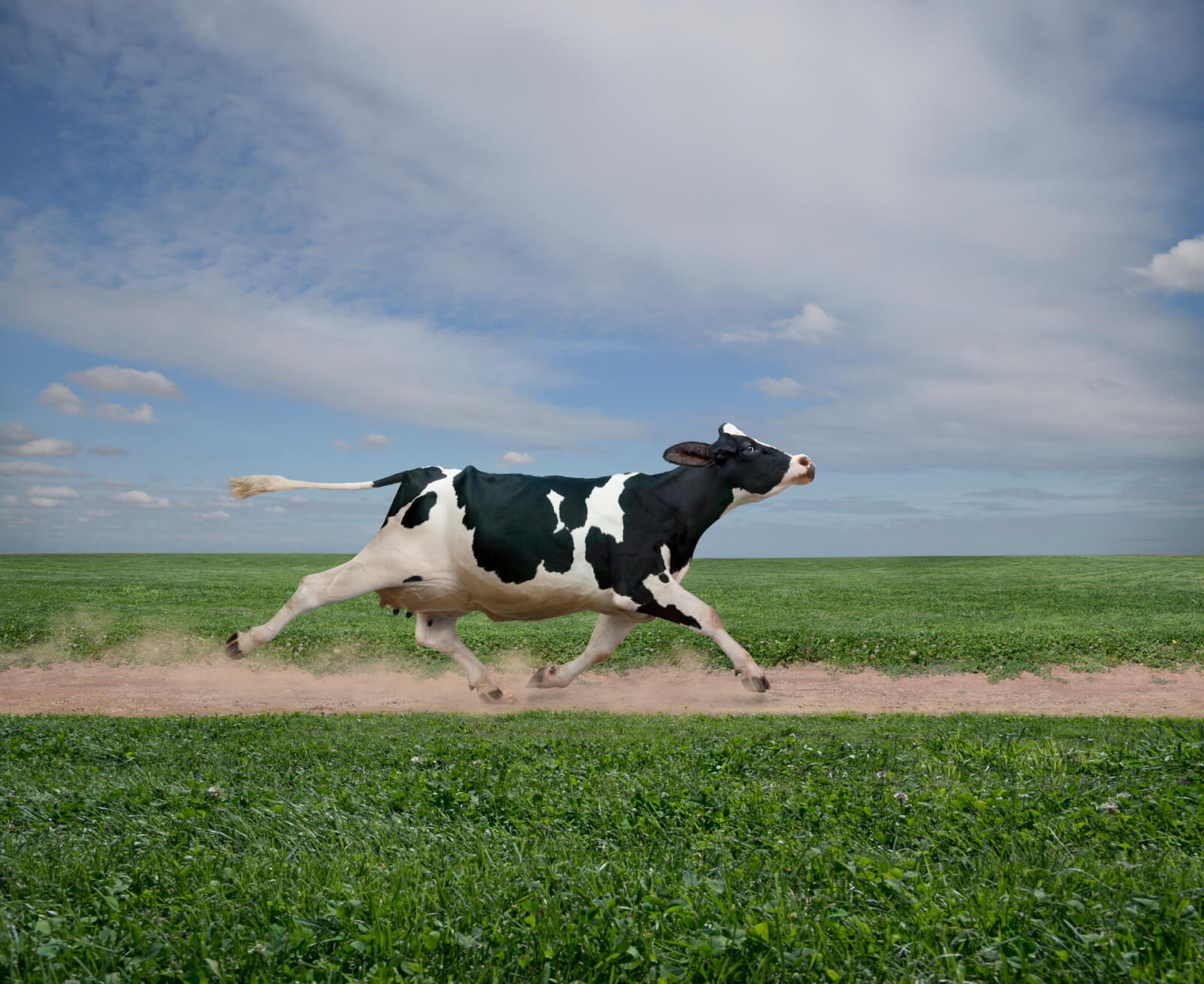 GettyImages 470622963