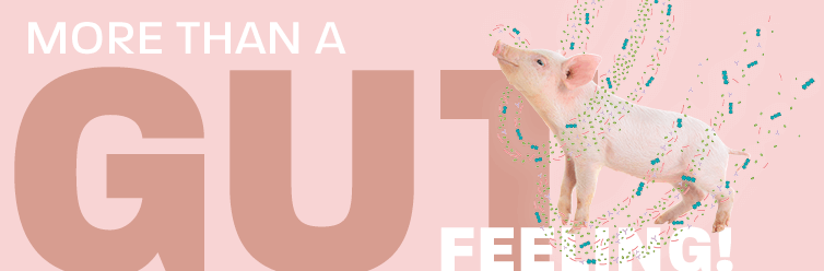 Banner MAXACTIVATZn final Kopie