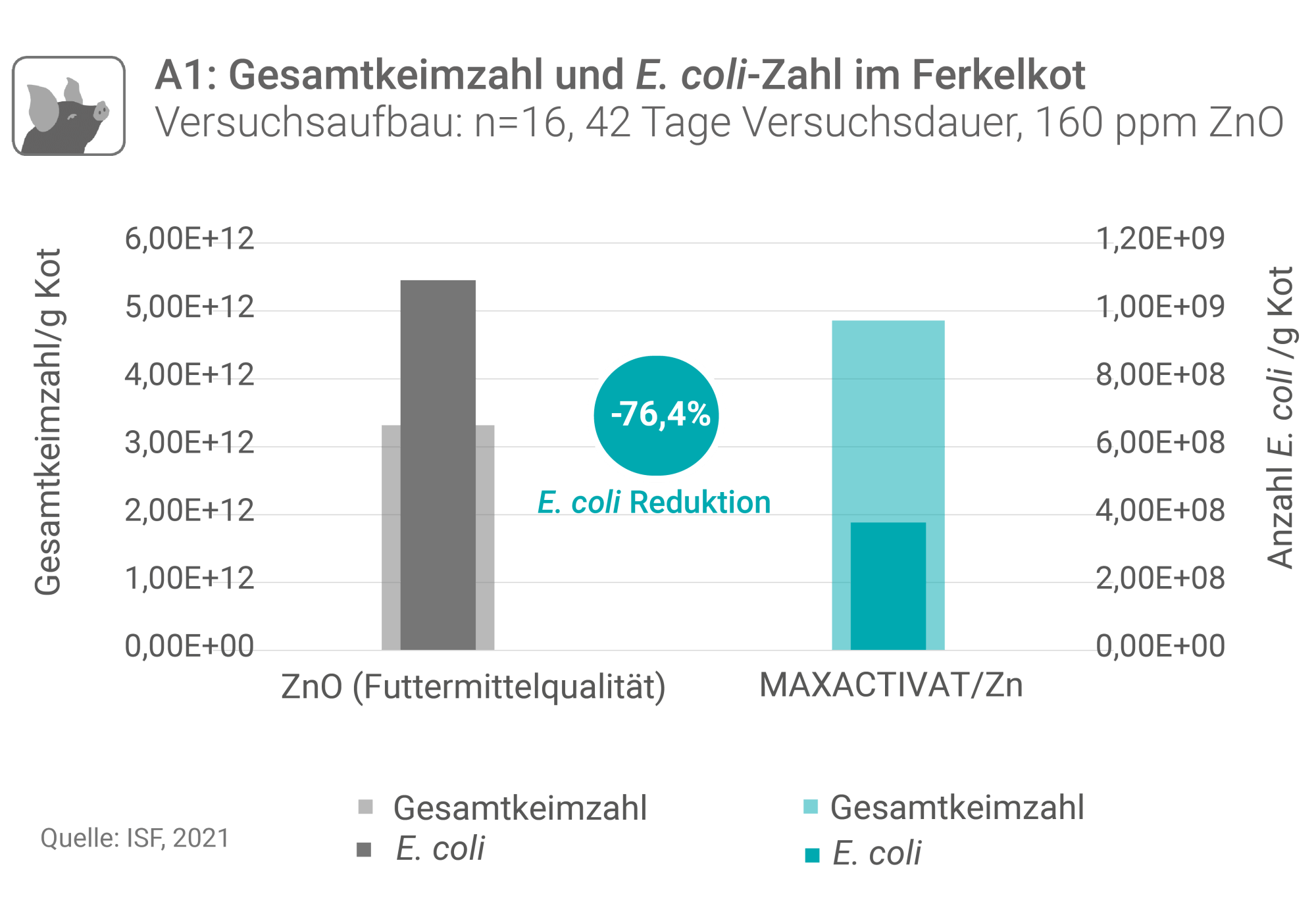 Graphiken MAXACTIVATZn NEU 2022 03