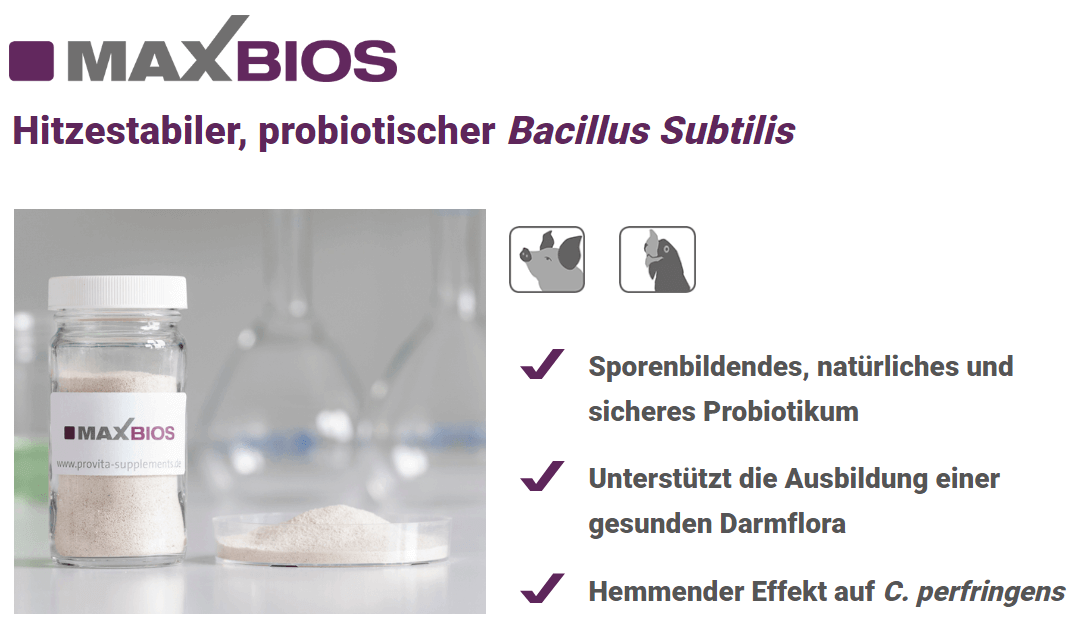 MAXBIOS