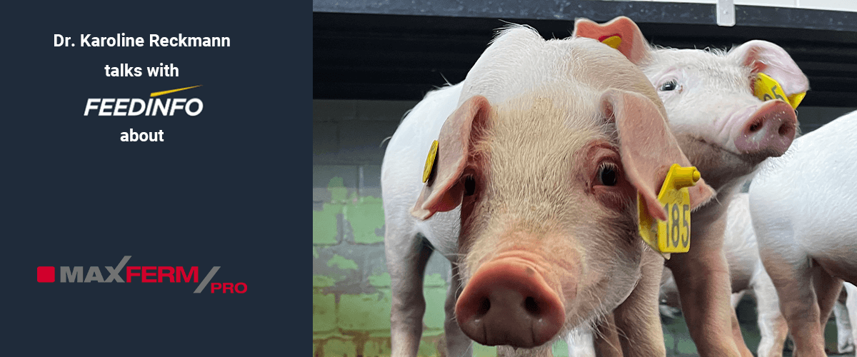 NEWS MAXFERM PRO FEEDINFO 2023 EN1 1