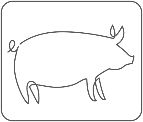 ProvitaSupplements Illustration Schwein Rahmen