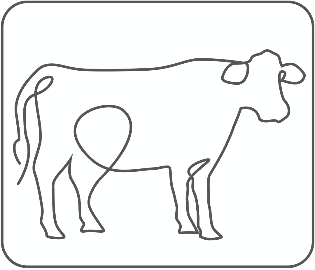 Kuh OneLine png White transparent