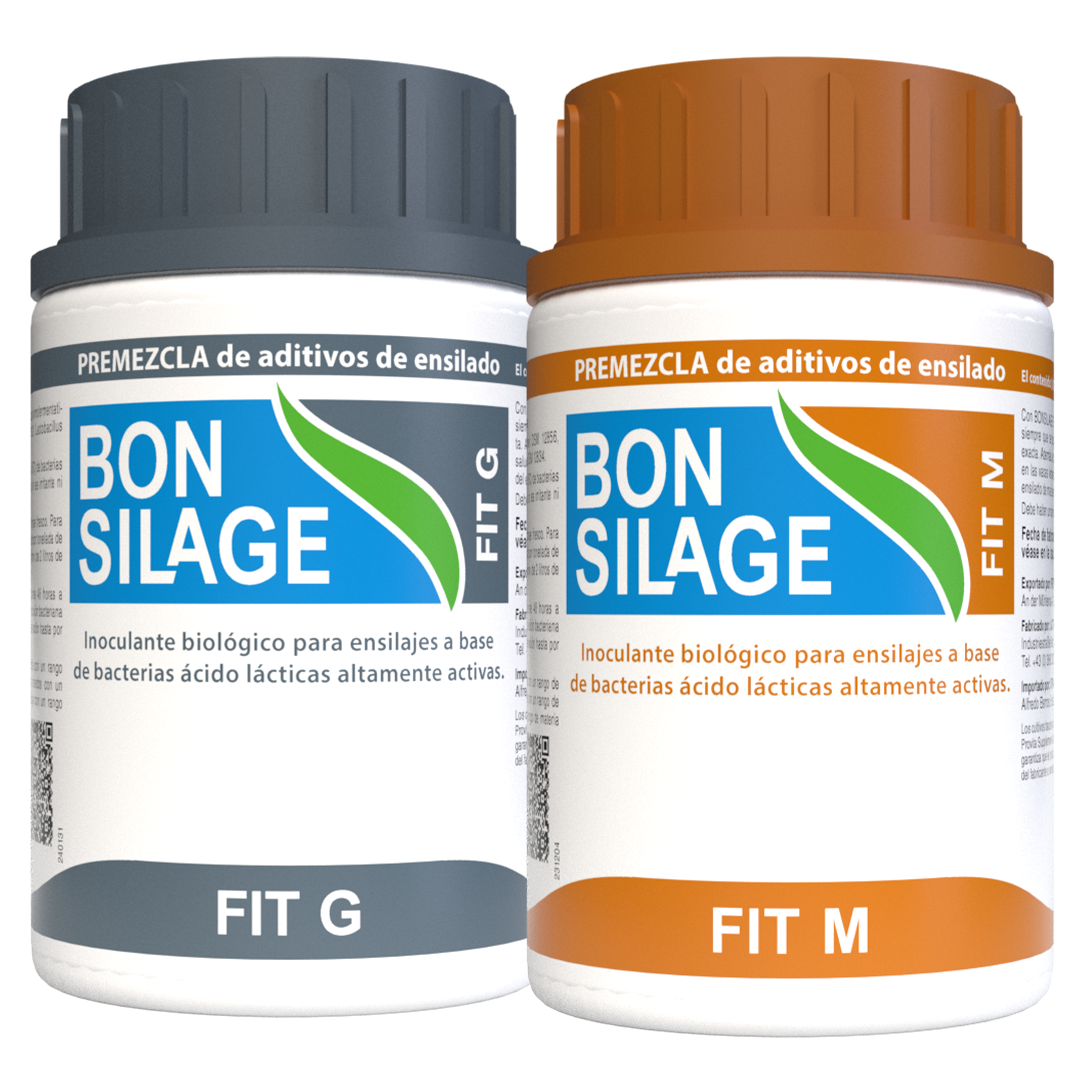 BONSILAGE BRA FIT M FIT G Portfolio