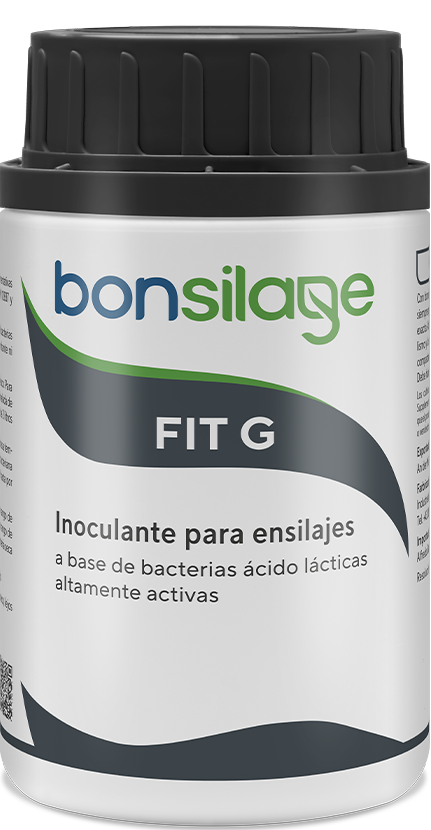 bonsilage web 100g CH FIT G 100g