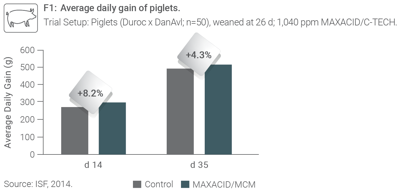 ProvitaSupplements MAXACID F1 Grafik EN Int 1
