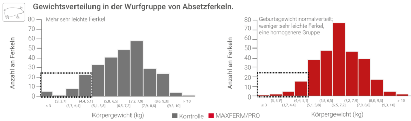 Figure Litter Weight MAXFERM PRO 2026 DE