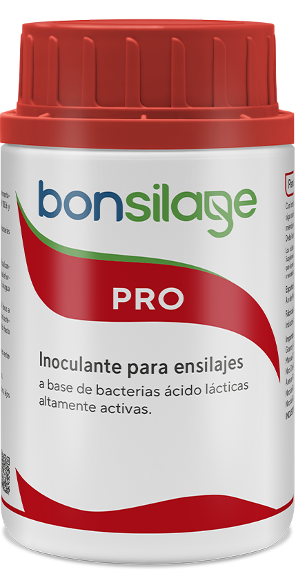 bonsilage web 100g CH PRO 100g